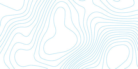 Topographic map and landscape terrain texture grid. Abstract lines background. Contour maps. Vector illustration. Blue and white topographic contours lines of mountains.	
