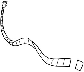 Adult tapeworm in small intestine vector by hand drawn