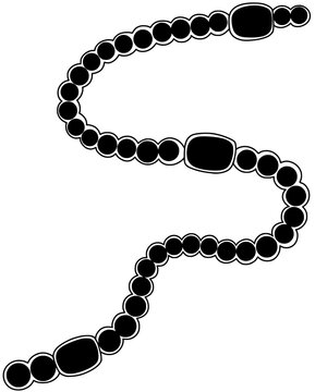 Nostoc structure vector by hand drawn	