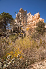 Stunning landscape of the tall rocky formations of Orgues d'Ille in France
