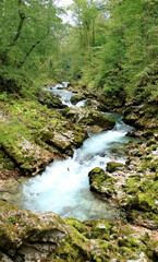 Radovna River in the Vintgar Gorge canyon, Slovenia