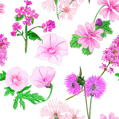 Pink field flowers, hand painted with watercolor, on white background. Floral seamless pattern Background raster.