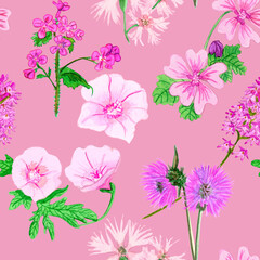 Pink field flowers, hand painted with watercolor, on pink background. Floral seamless pattern Background raster.