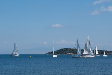 A fleet of sailboats peacefully gliding across the vast expanse of water, under the clear blue sky...