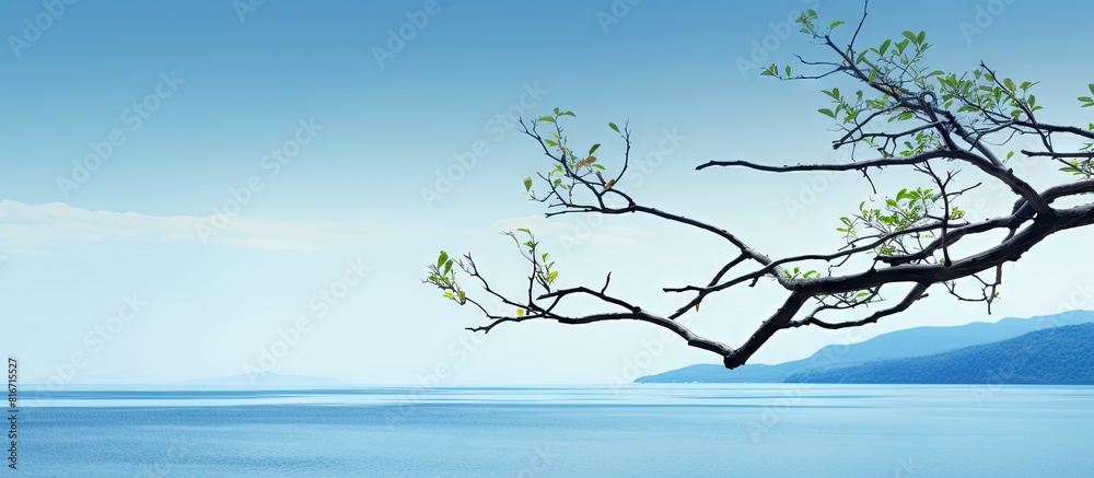 Poster A tree branch stretching horizontally with a backdrop of natural scenery copy space image
