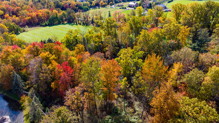 Aerial View of a Colorful Autumn Forest on a Sunny Fall Day