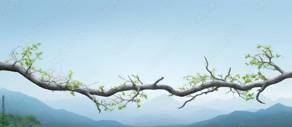 Poster A tree branch stretching horizontally with a backdrop of natural scenery copy space image