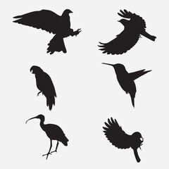 bird vector isulated on white background