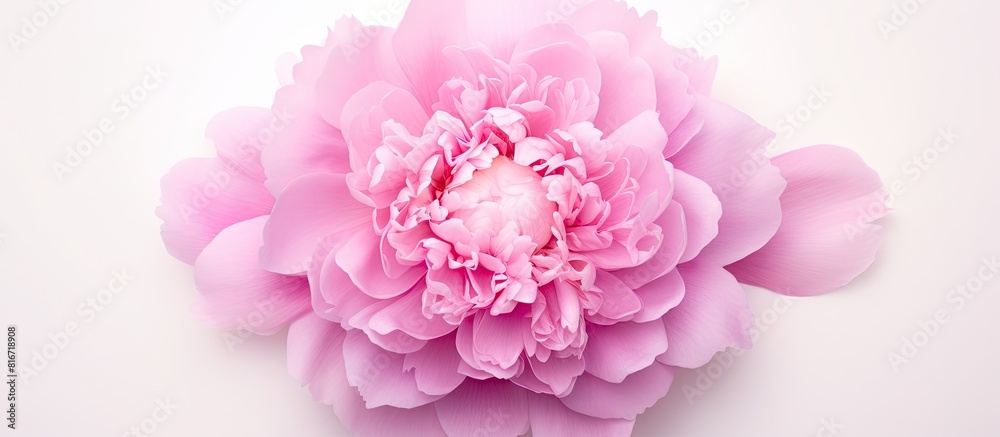 Aufkleber Top view of a pink peony flower displayed on a white background providing ample copy space for your text The flower is isolated creating a flat lay pattern