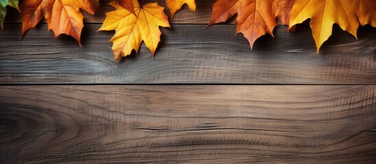 Wooden background with fallen autumn leaves providing a textural side view and a blank space for images. with copy space image. Place for adding text or design