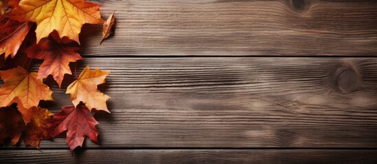 Obraz premium Top view of autumn maple leaves book and coffee cup on a wooden surface with copy space image