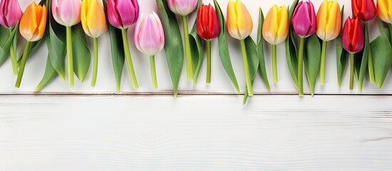 Top view copy space image of fresh spring tulips flowers on a white wooden background perfect for congratulations and greeting cards