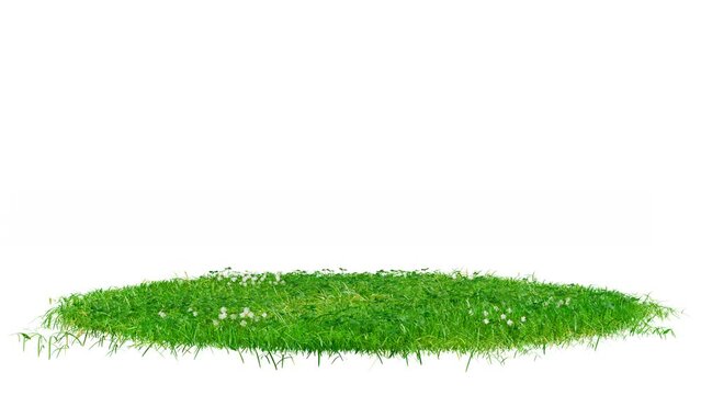 Round surface patch covered with green grass rotation on white background. Realistic natural element for presentation design. Bright 3d animation with alpha matte channel.
