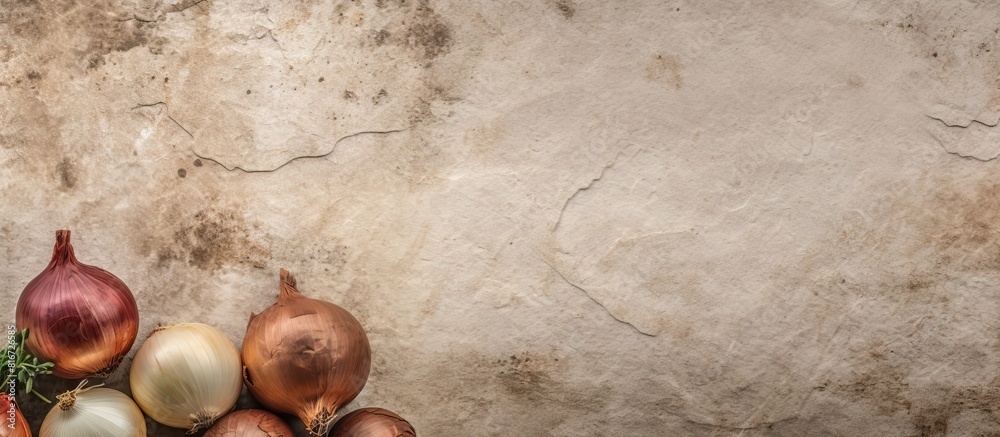 Poster Top view copy space image of giant onion bulbs on a textured stone background creating a food cooking ambiance