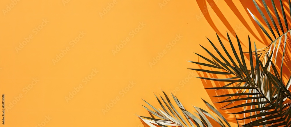 Poster a summery concept featuring palm leaves and their shadow cast on a vibrant orange backdrop with plen