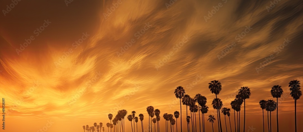 Aufkleber A striking golden sky with dramatic clouds forms the backdrop for a captivating image of lonely sugar palm trees creating a mesmerizing silhouette. with copy space image
