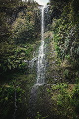 Obraz premium Scenic view of a waterfall cascading down the jungles in Levada in Madeira, Portugal