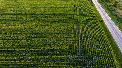 Aerial view of a highway running alongside a large crop farm