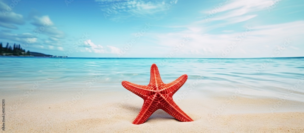 Poster A vibrant red starfish rests on a beautiful tropical beach creating a picturesque scene ideal for copy space images