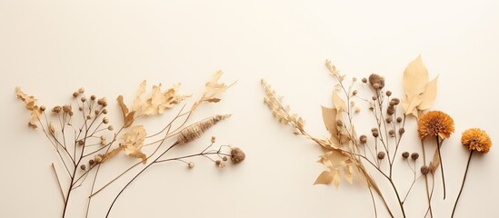 Top view of a beige background with a flat lay arrangement of dry flowers and a dried branch Perfect for a mockup with copy space
