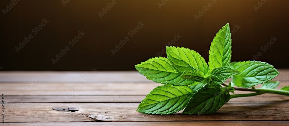 Poster On the wooden table there is a single green mint leaf resting offering an appealing copy space image