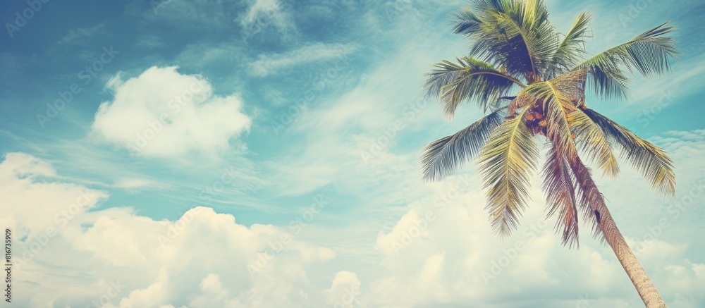 Poster Vintage style copy space image of a tropical palm tree against a vibrant blue sky with scattered clouds creating an abstract background Evoking a sense of summer vacation and adventurous nature trave