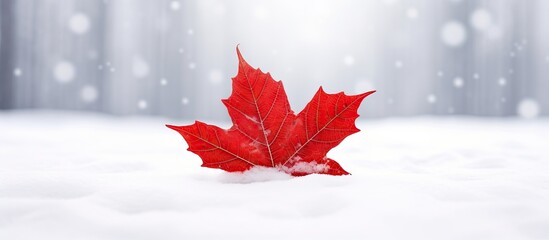 A vibrant red maple leaf rests on a glistening white blanket of snow creating a serene and picturesque scene The image provides ample space for creative use