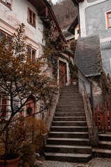 Stone stairway leading up to a wooden door, with various green plants and shrubs growing alongside