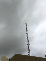 Pakistan Friday 30 July 2021 A group of eagles flying in a dramatic gray sky filled with clouds warning of rain falling over the city of Karachi.