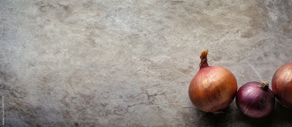 Aufkleber Top view copy space image of giant onion bulbs on a textured stone background creating a food cooking ambiance