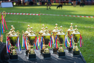 Trophies on display at the podium for a dog show event.