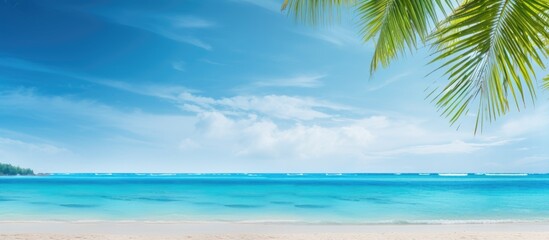 The tropical seascape provides a serene background with plenty of empty space for text or images. Copyspace image