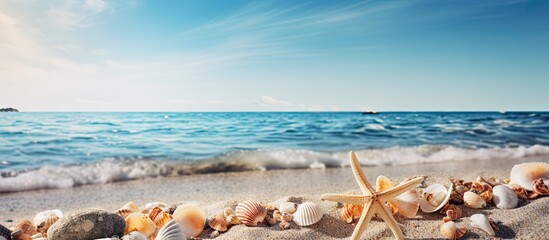 The beach filled with seashells sea stars coral and stones creates a serene summer background Ideal for travel concepts or adding text. Copyspace image