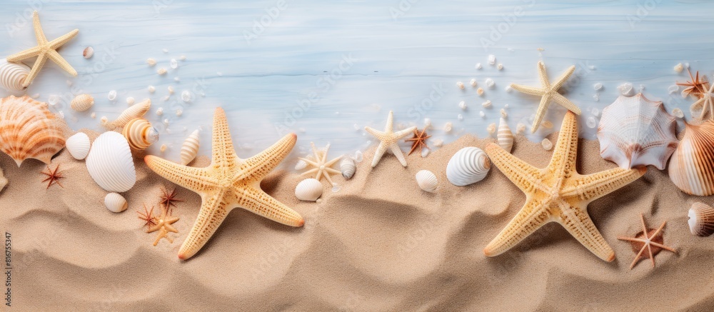 Aufkleber sea beach sand background with seashells and starfish top view natural seashore textured surface cop