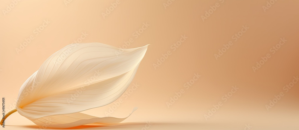 Poster Stones platform podium flower petal on beige background Minimal empty display product presentation scene. copy space available