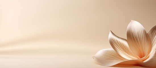 Stones platform podium flower petal on beige background Minimal empty display product presentation scene. copy space available