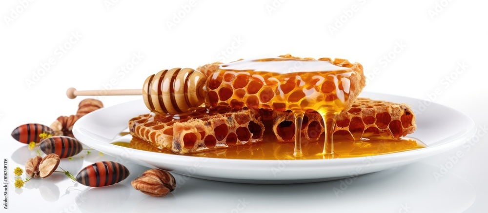 Poster honeycombs and nuts on plate isolated on white. copy space available