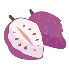 Purple custard apple isolated on white background, sugar apple vector illustration, buah nona ungu or srikaya patek langka