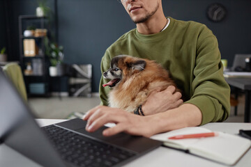 Close up of unrecognizable man holding cute dog in lap and using computer while working in pet...
