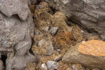 Rock eroded by wind and water