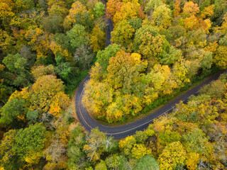 Aerial view of a winding forest road between colorful autumn trees