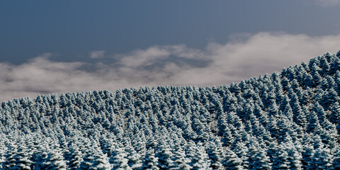 View over a hill and snow covered pine trees - 3d illustration