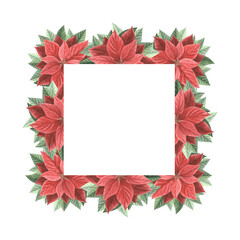 Obraz premium Poinsettia flowers with leaves. Christmas frame square, vintage. Hand drawn watercolor illustration traditional plants for winter background. Isolated template for card, invitation, New Year, print.