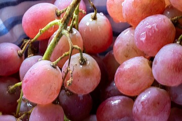 Vibrant and lush bunch of grapes