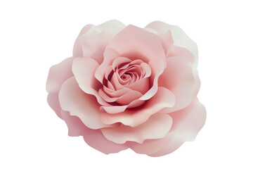 A rose is the main focus of the image, with its petals and stem visible. The rose is pink and white, and it is the only flower in the picture. The image has a serene and peaceful mood