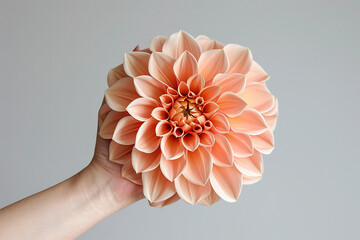 A hand holding a large, orange flower - Powered by Adobe