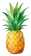 Watercolor illustration of pineapple on white