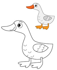 Cartoon happy farm animal cheerful goose bird running isolated background with sketch drawing with colorful preview illustration for children