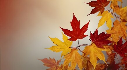 Fall background of red maple leaves with copy space.