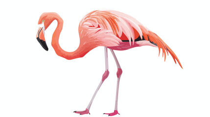 Tropical flamingo. Exotic bird with pink feathers 